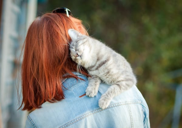 Specialists | Countryside Veterinary Hospital | Olds Speciality & Emergency Vet