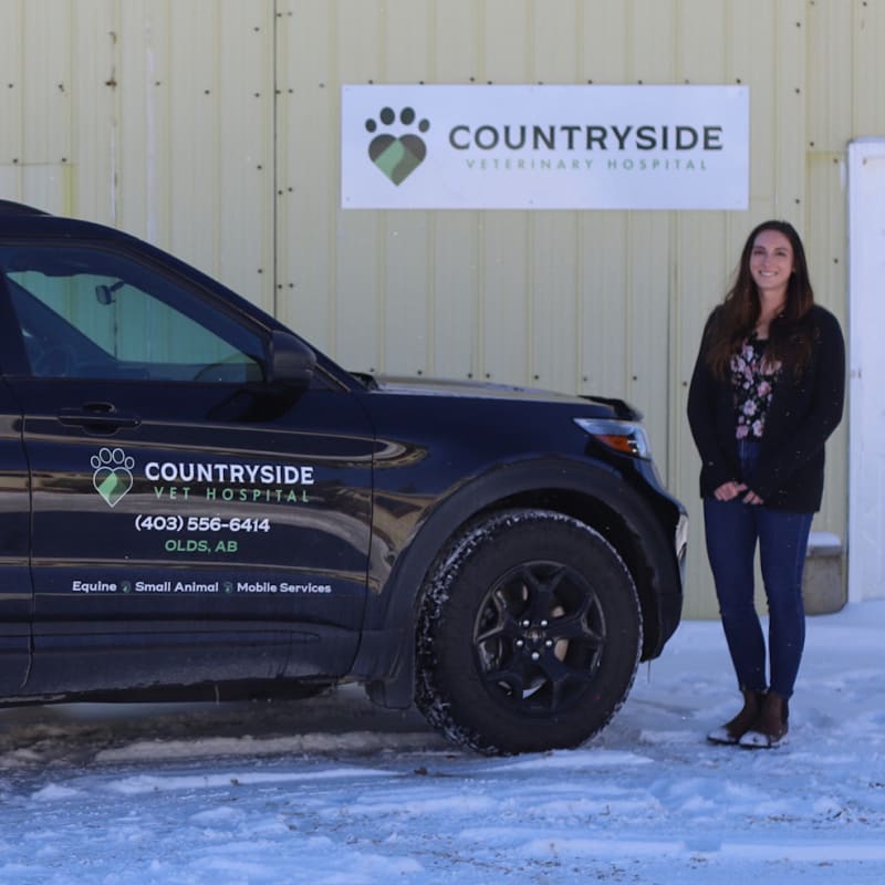 Equine Mobile Services, Olds Vets