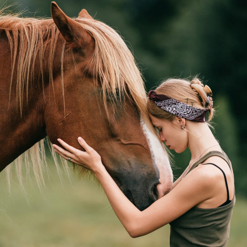 Equine care in Olds