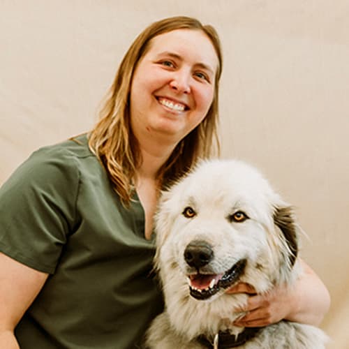 Registered Veterinary Technician at Countryside Veterinary Hospital